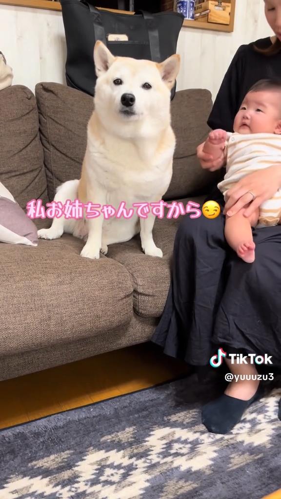 お姉ちゃんらしい頼りになる表情