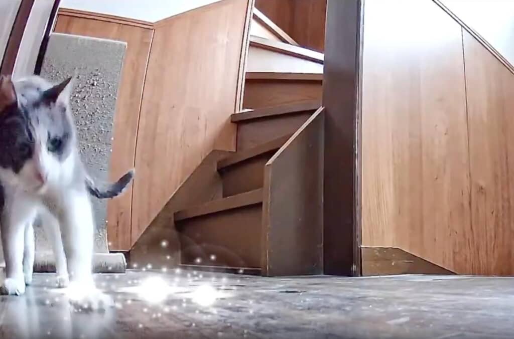 さまざまな角度でカイカイしています