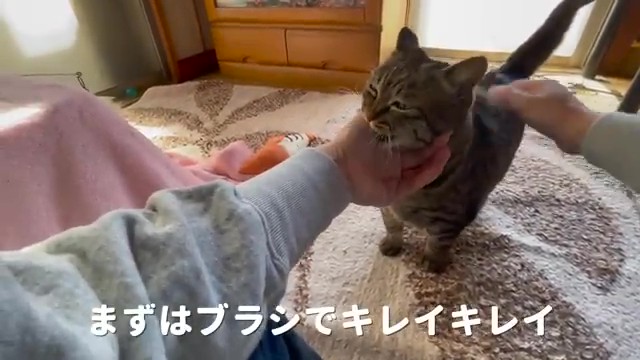 ごきげんなみこちゃん
