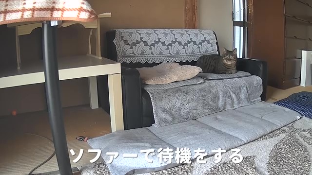 投稿者さんを迎えるために待機