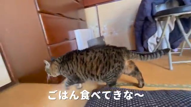 ごはんの時間です