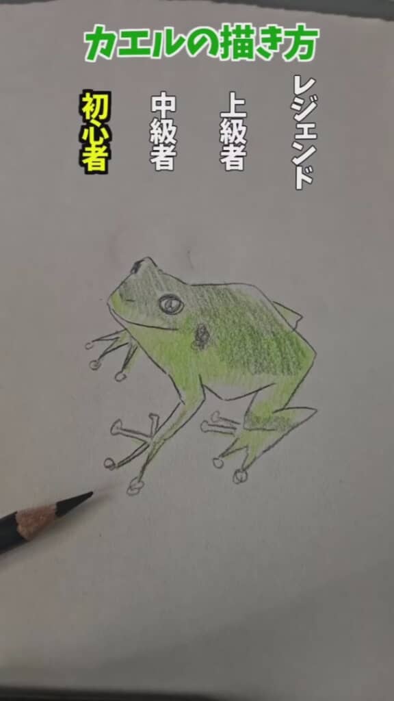 絵本に登場しそうなかわいいカエル