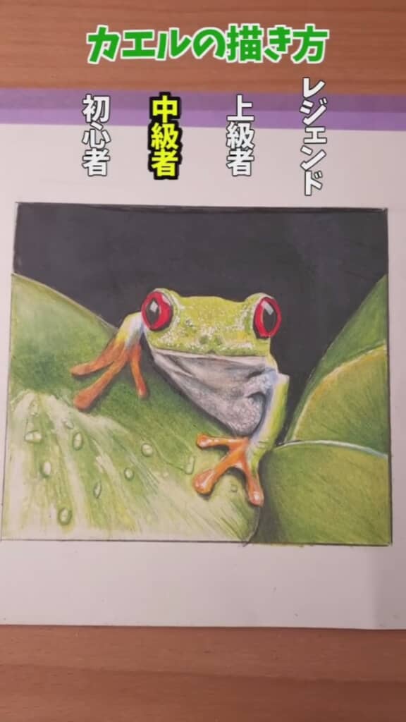 ぐっとリアルになった中級者レベル