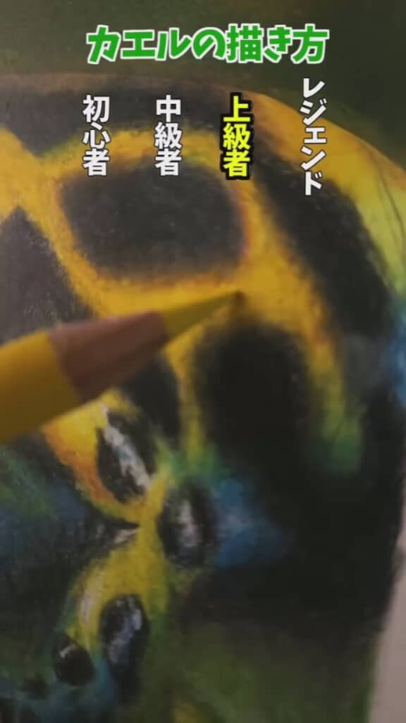 上級者レベルではさらに細かく描き込みます