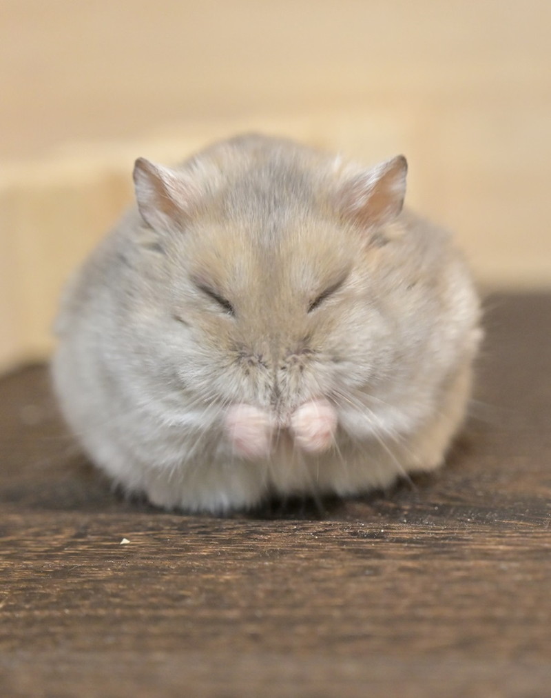 ちょっと眠たくなっちゃった