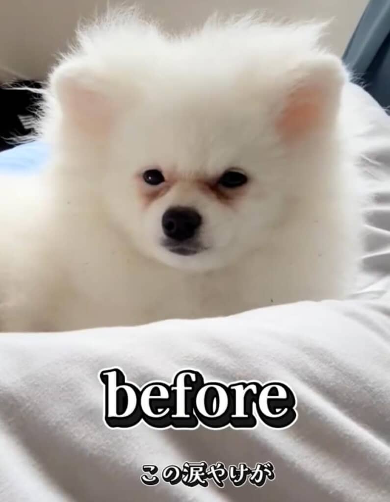 ビフォー