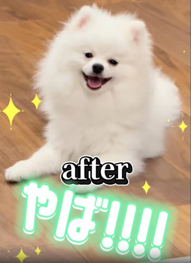 アフター