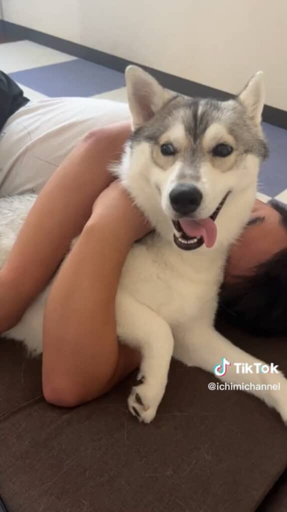 飼い主さんと一緒