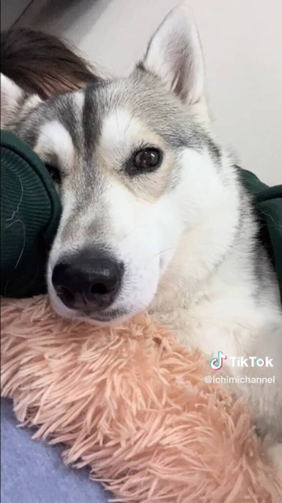 隣でリラックス