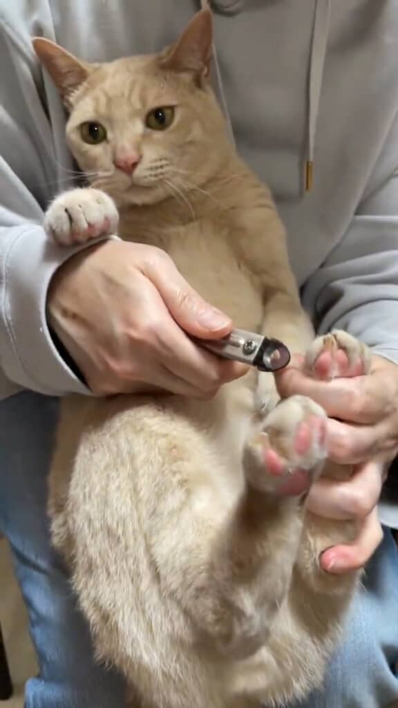 はいこっちも～