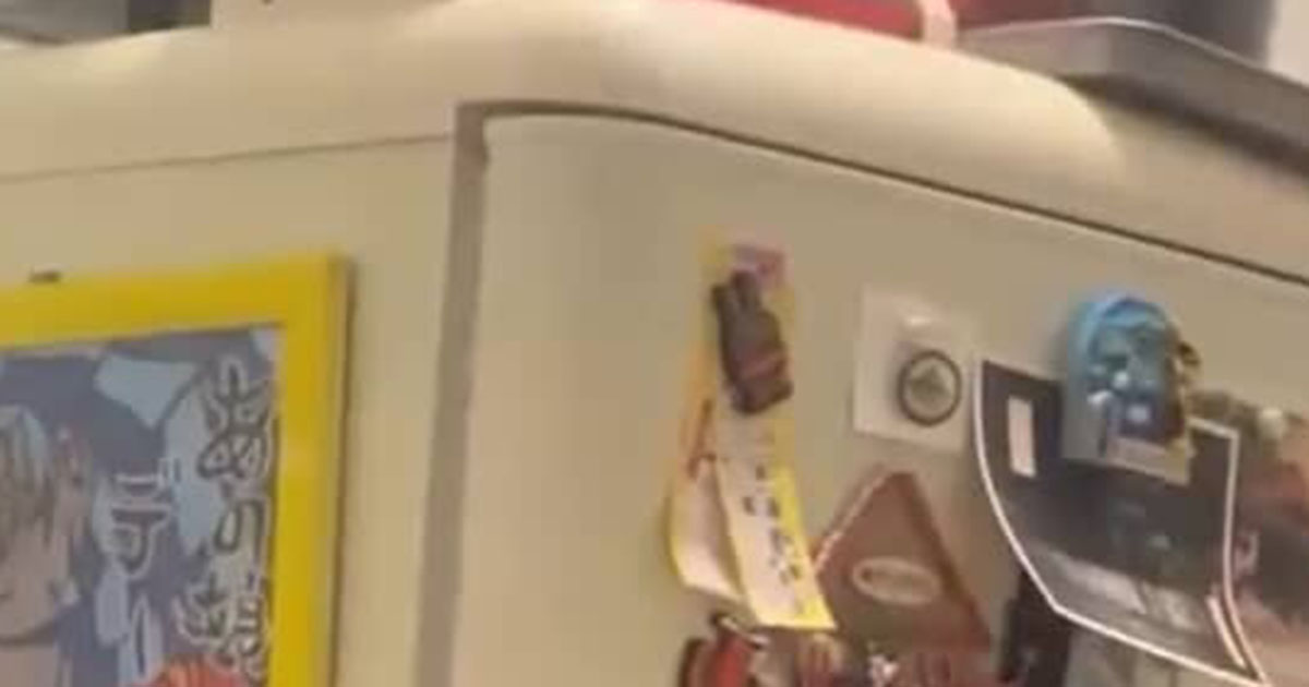 これは憧れる！　都内1人暮らし女性が住む“変な間取り”→のぞいてみると……　夢のような空間に「理想のお部屋」（1/2） | 住まい ねとらぼ