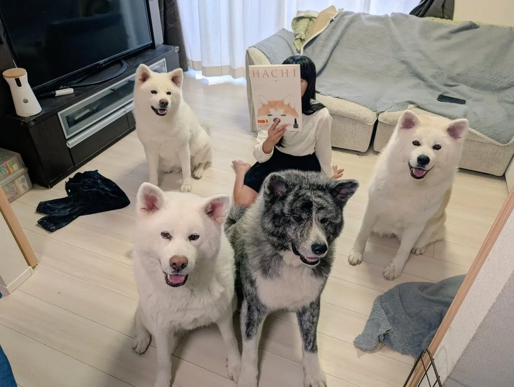 ちゃんと座ったお利口な写真も！