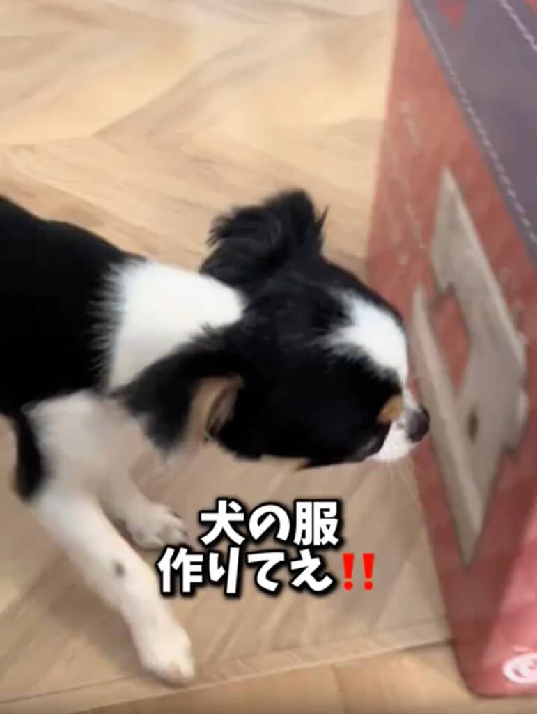 犬に服作りてぇ！