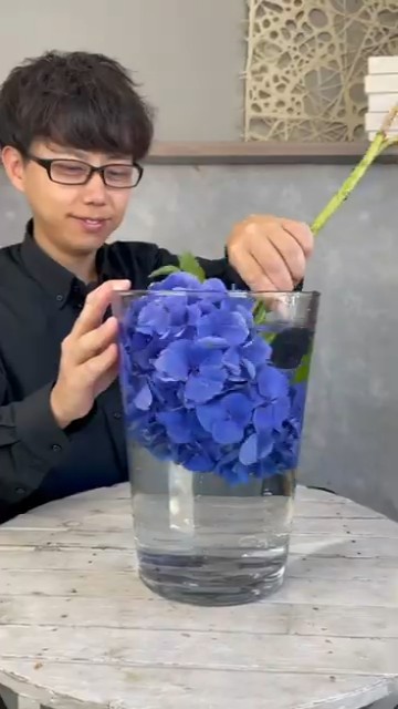 色がとても鮮やかに