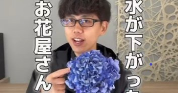 しおれてきたアジサイ→花のプロがひと手間かけると……　紹介された簡単テクニックに驚き（1/3） | ライフスタイル ねとらぼ