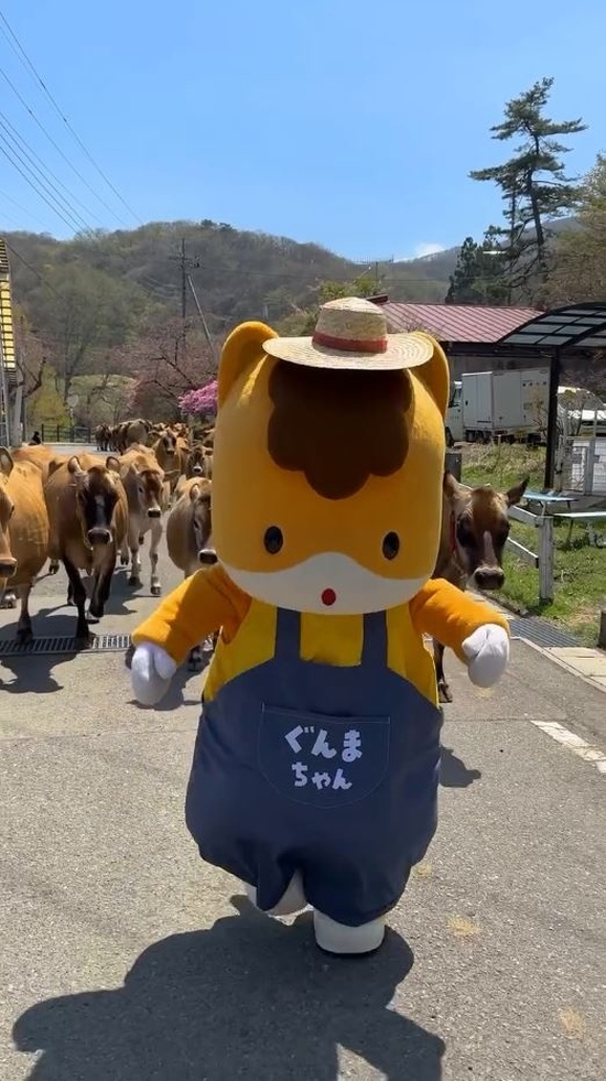 普段より雄々しいぐんまちゃん