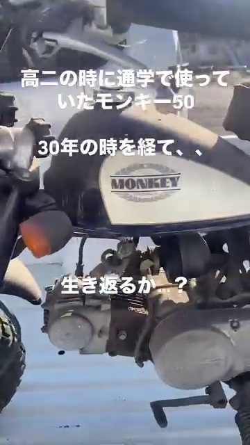 ほこりまみれのホンダのモンキー50