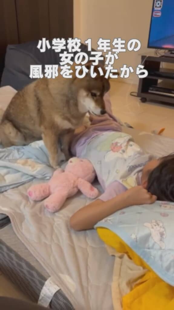 心配してそばに寄る花ちゃん