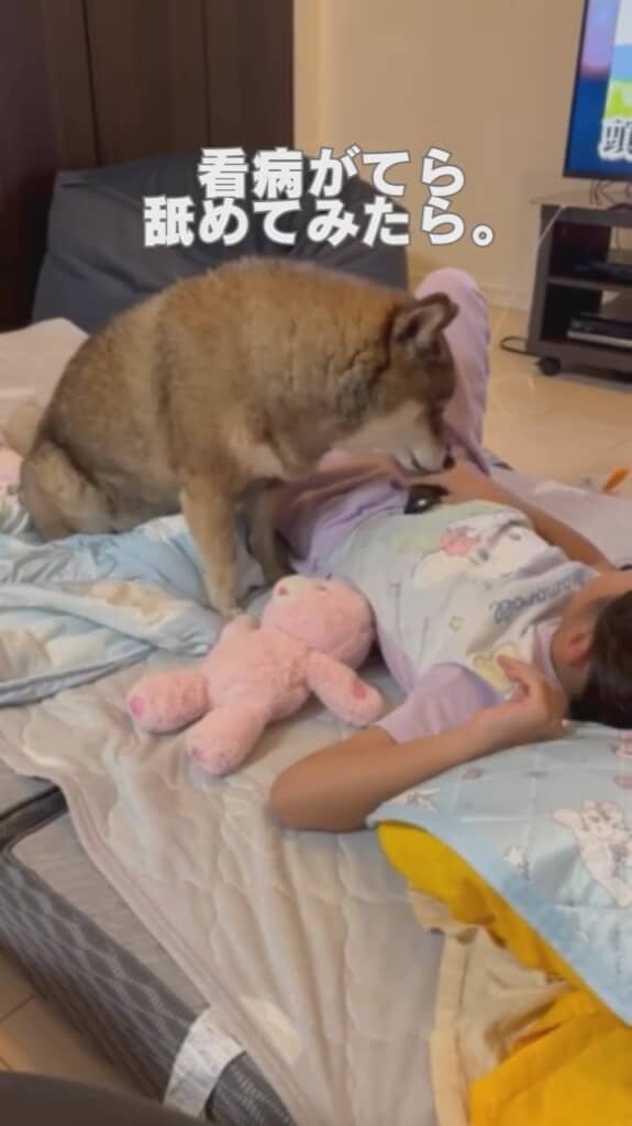 なめてみたら……
