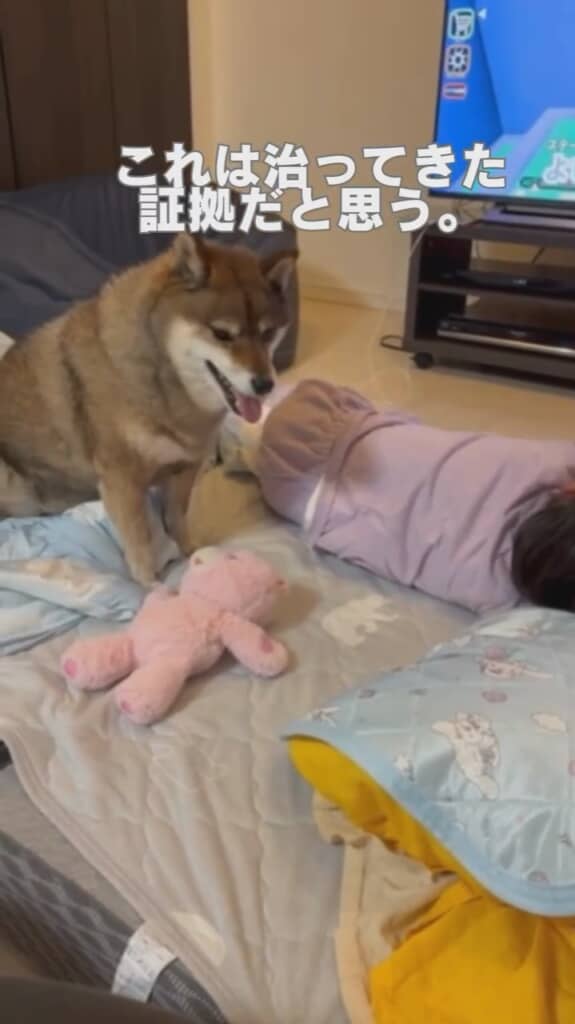 しかしこの元気は回復の兆し？