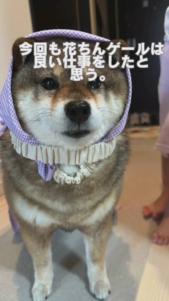 花ちんゲール大活躍！