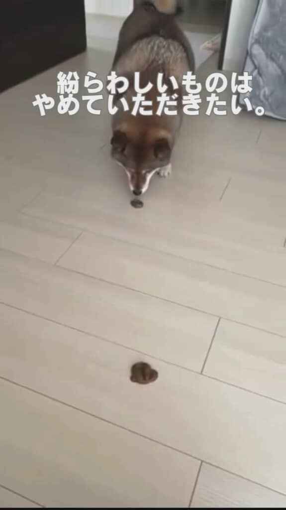 うん……？