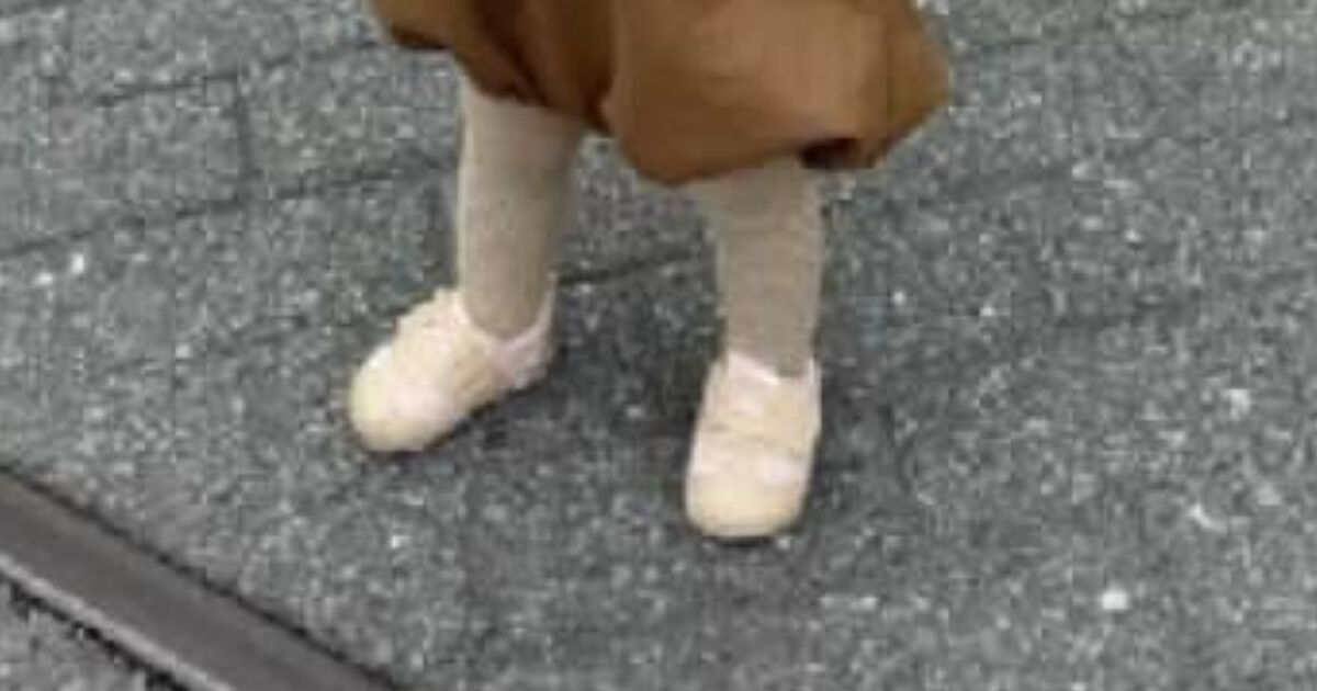 ディズニーで「写真撮らせて下さい」と言われた1歳娘→まさかのコスプレに「めっちゃ似てる」「天才じゃん」と大反響 | 育児 ねとらぼ