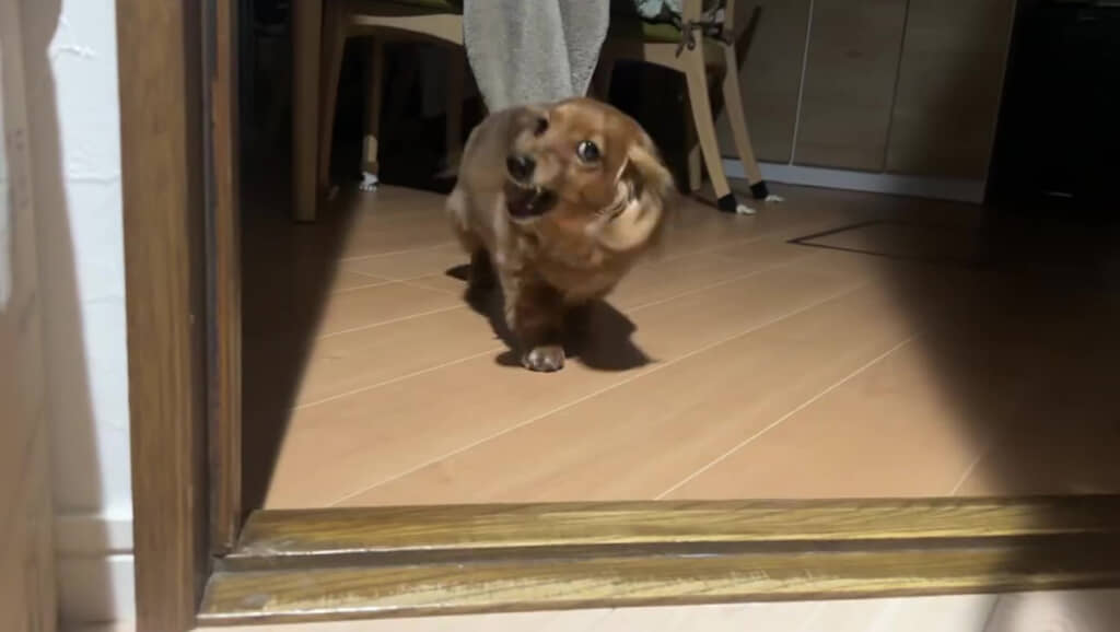 お出迎えスタート