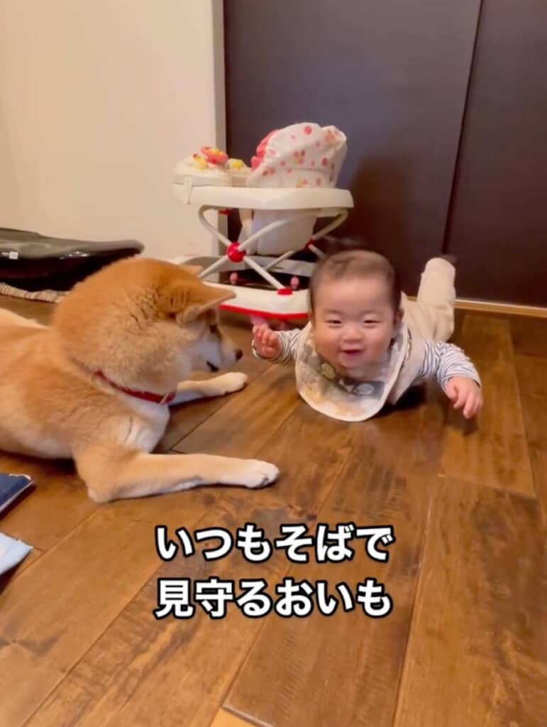 いつも坊っちゃんを見守っていました