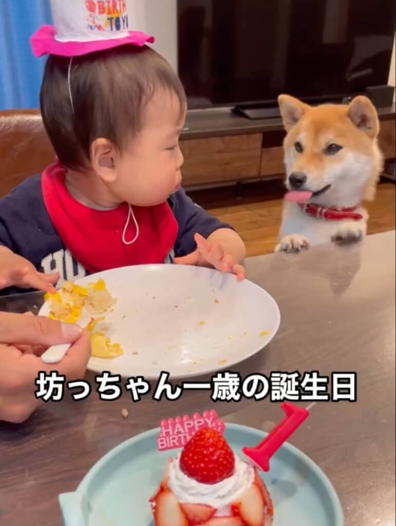 坊っちゃん1歳の誕生日