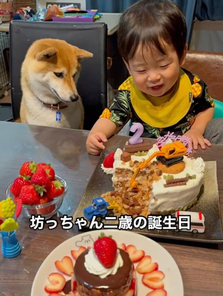 坊っちゃん2歳の誕生日