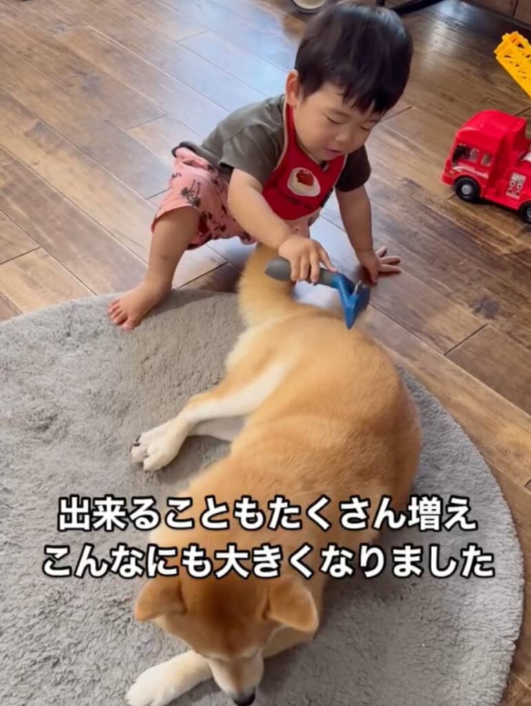 大きくなった坊っちゃんはできることが増えました