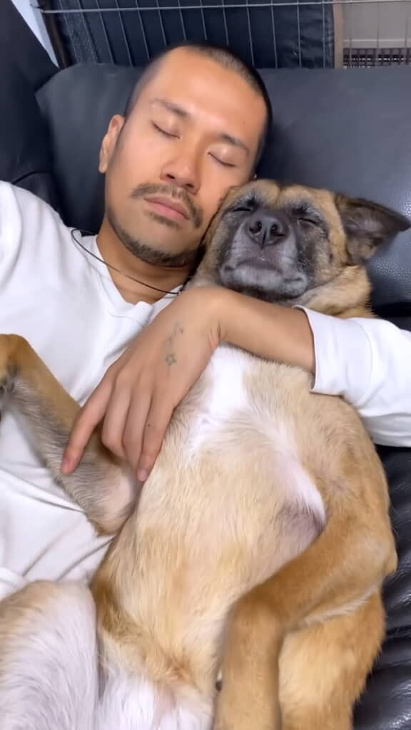 腕まくらでスヤスヤ