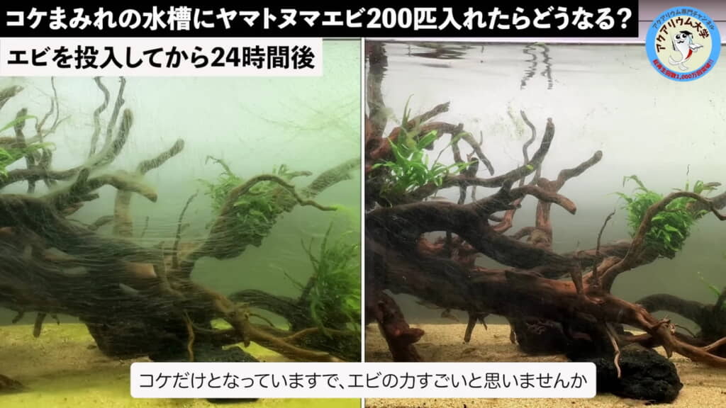 たった24時間でここまで!?