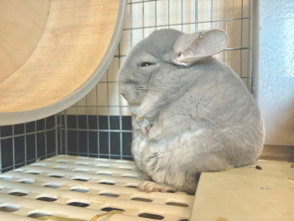 お疲れの様子で腰をかけている弎詁同くん