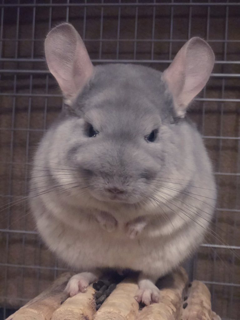 睨みをきかせています