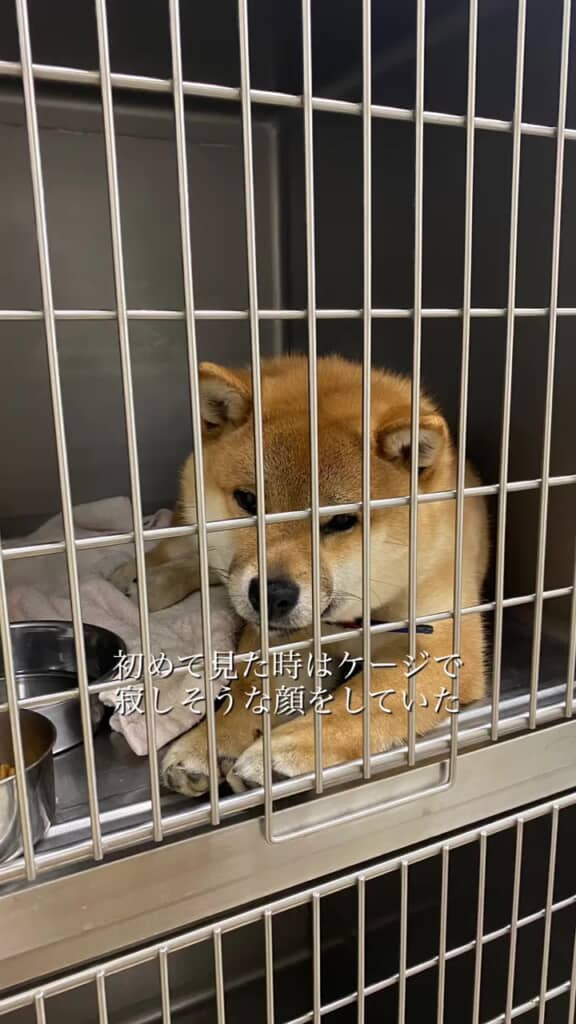 初めて見かけたくま丸くんは……