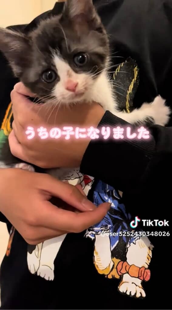 マナちゃん、良かったね！
