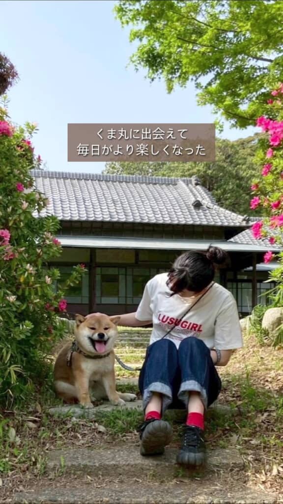 くま丸くんのおかげで、毎日が楽しくなったという飼い主さん