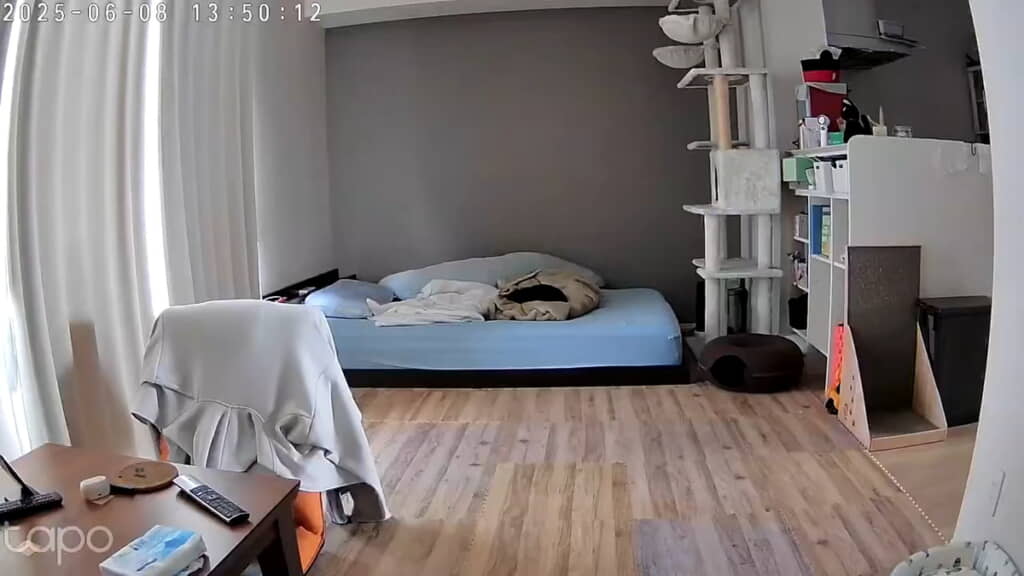 何やら見える黒いシミ……
