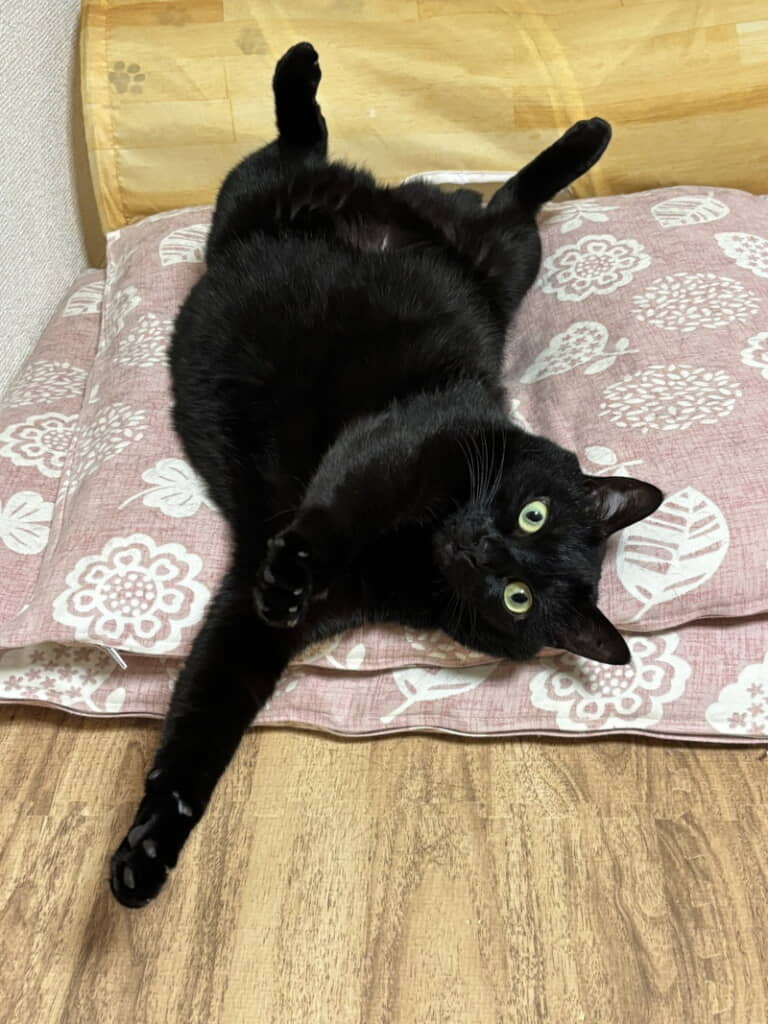 ごろんごろーん