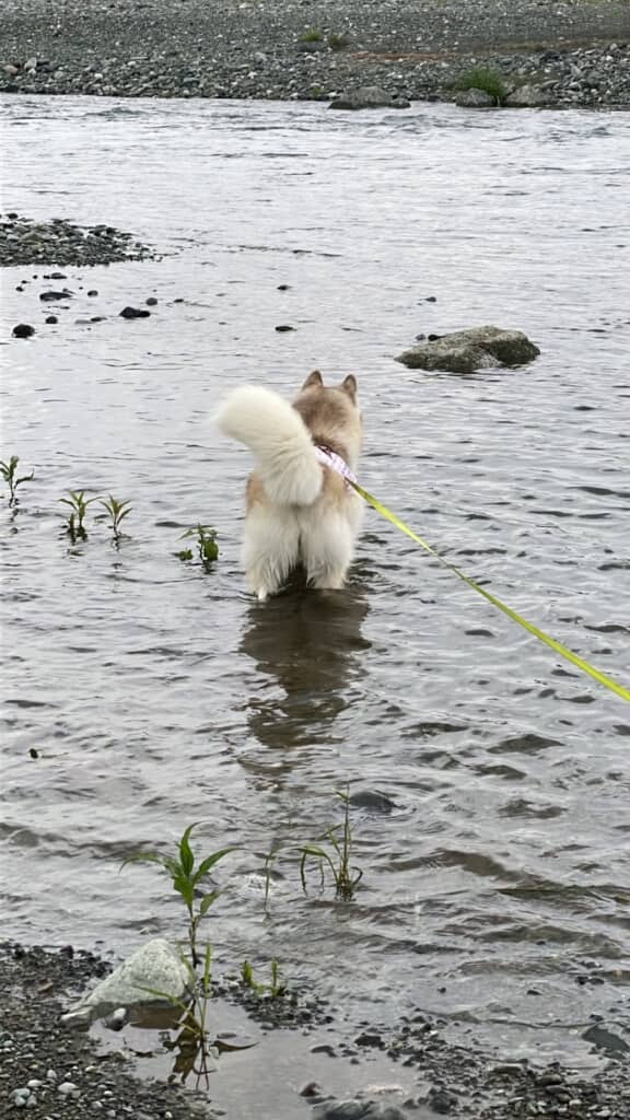 あぁぁぁぁぁぁぁぁ