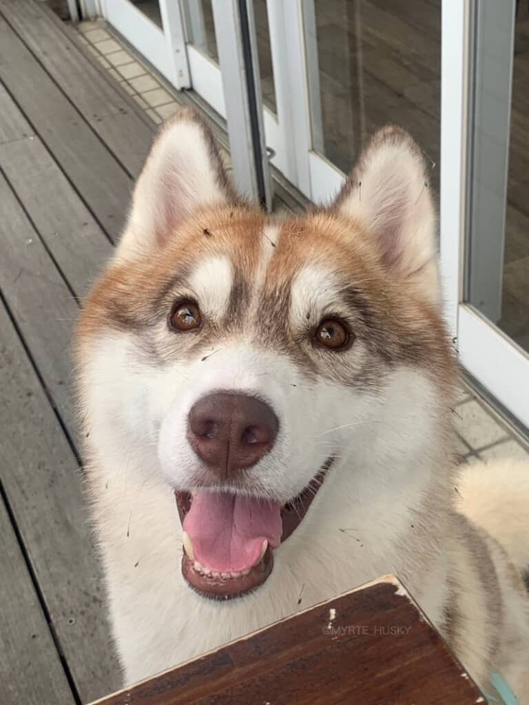 林道をお散歩してご機嫌