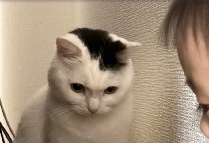 何やら難しい顔をしているたけるくん