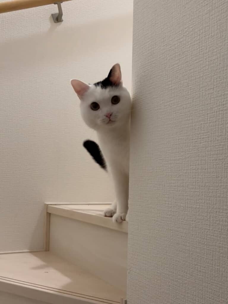 心配そうに覗き込むたけるくん