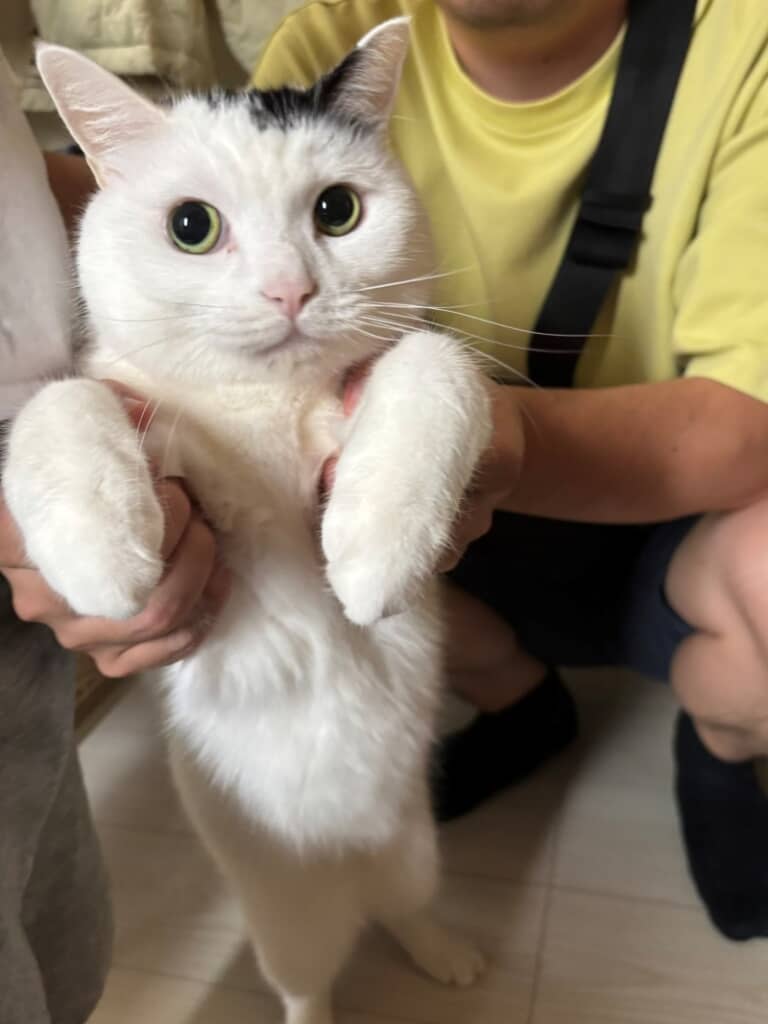 外に出ようとしたら捕まってしまったたけるくん