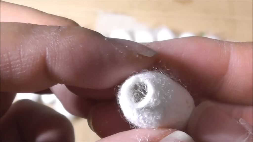 無事に羽化するとこんな感じで穴が開くのだとか