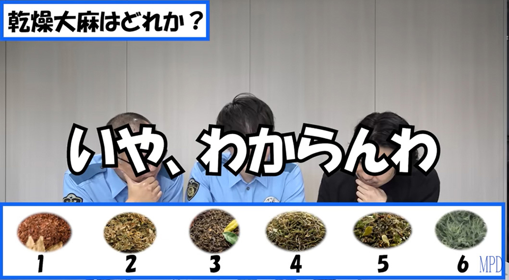 乾燥大麻はどれ？
