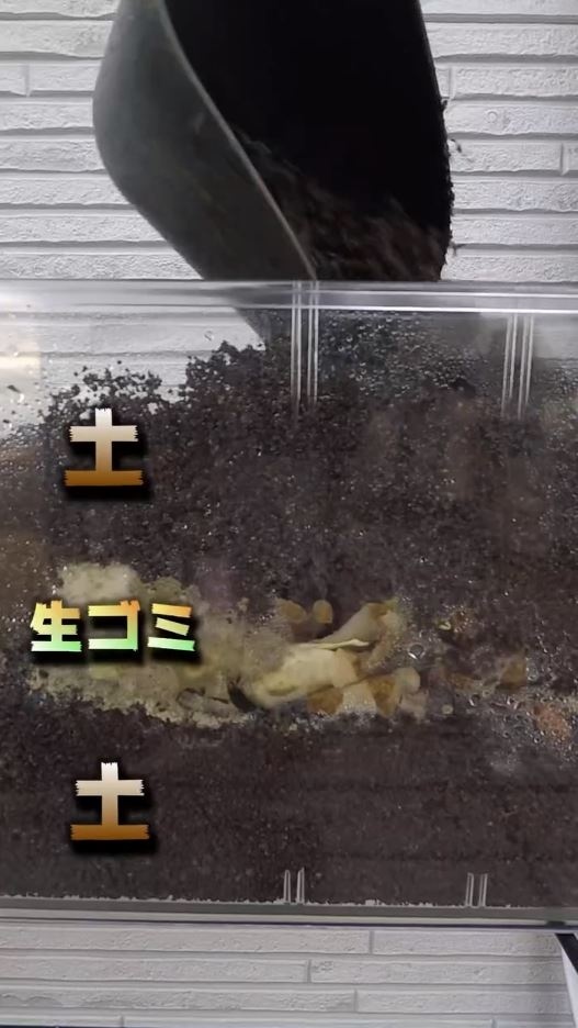 土で覆われた生ごみ。1日目の様子