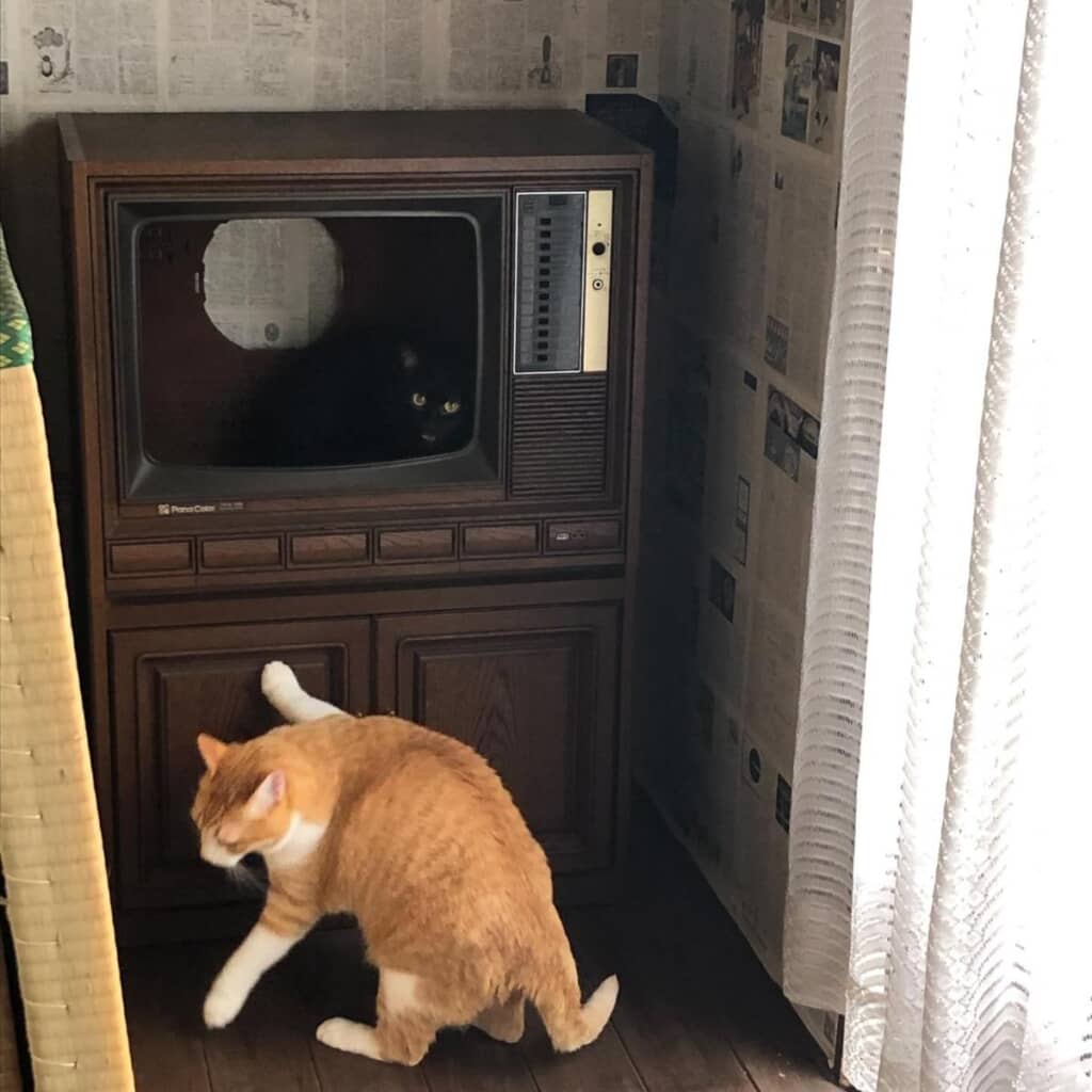 実はテレビをインテリアに改装